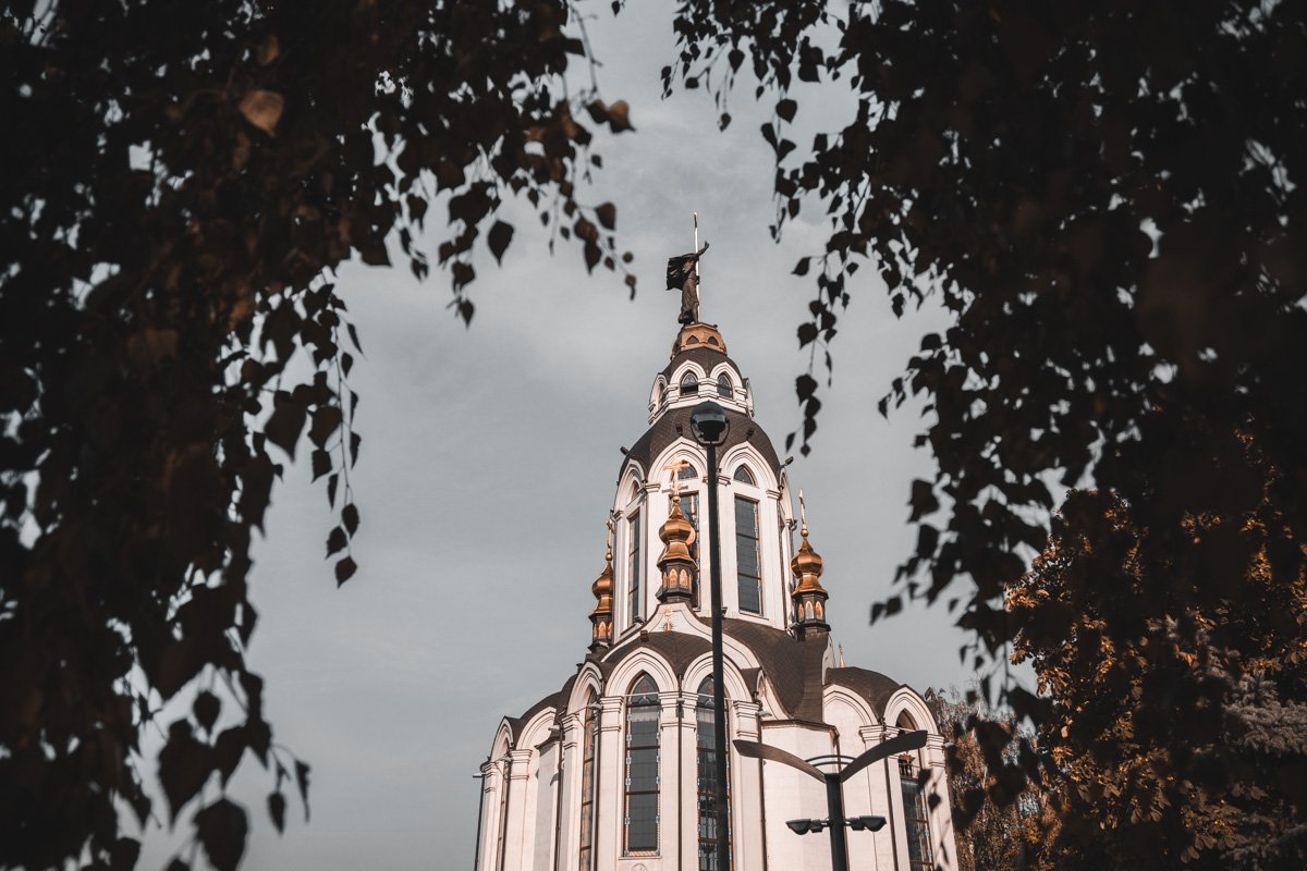 Внезапно стих ловлю, бежавший сотни раз.