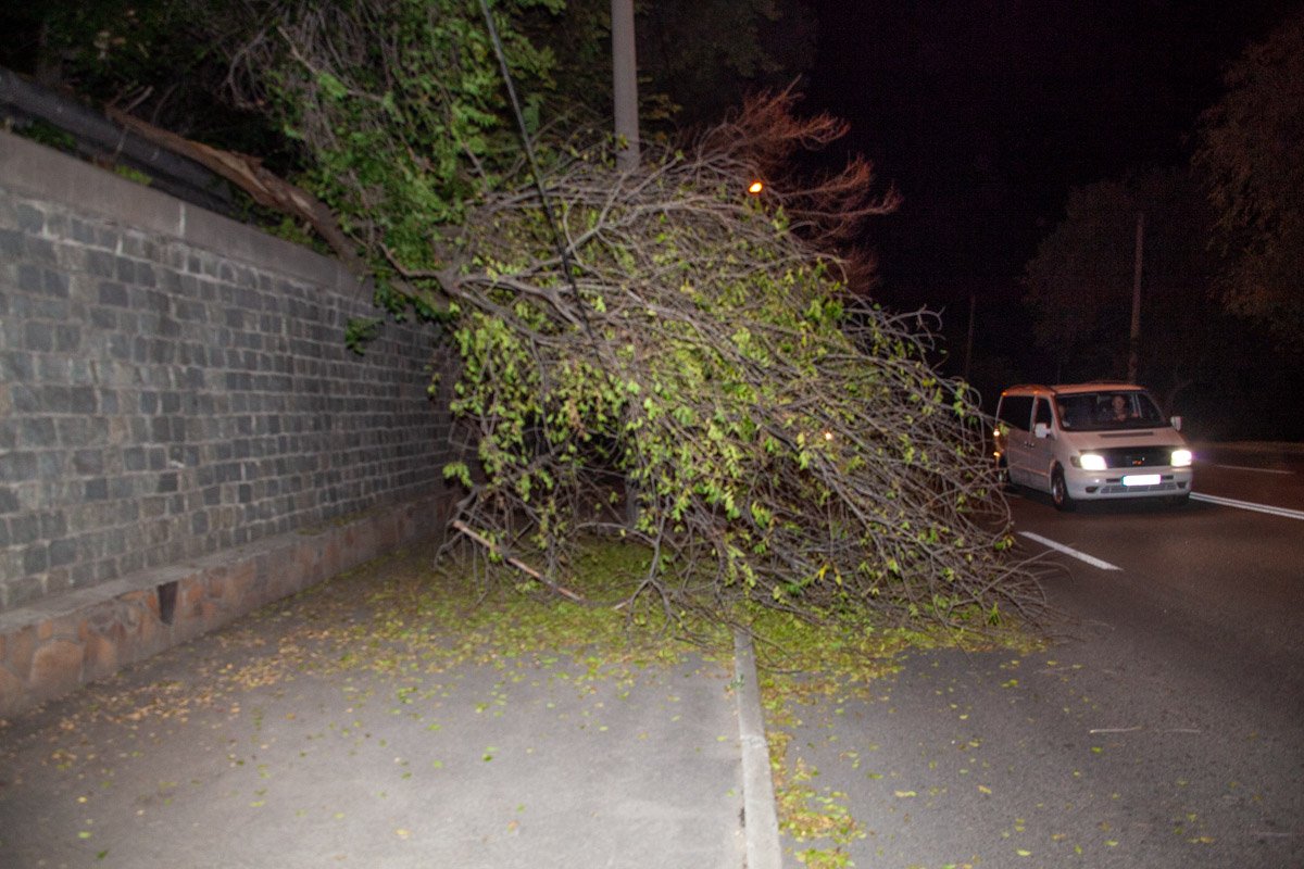 9 июля, на улице 6-й Стрелковой Дивизии на дорогу упала крупная ветка 9 июля, на улице 6-й Стрелковой Дивизии на дорогу упала крупная ветка