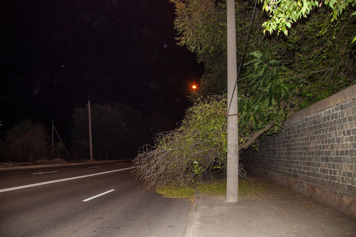 Огромный обломок дерева полностью перекрыл один ряд дороги и тротуар Огромный обломок дерева полностью перекрыл один ряд дороги и тротуар