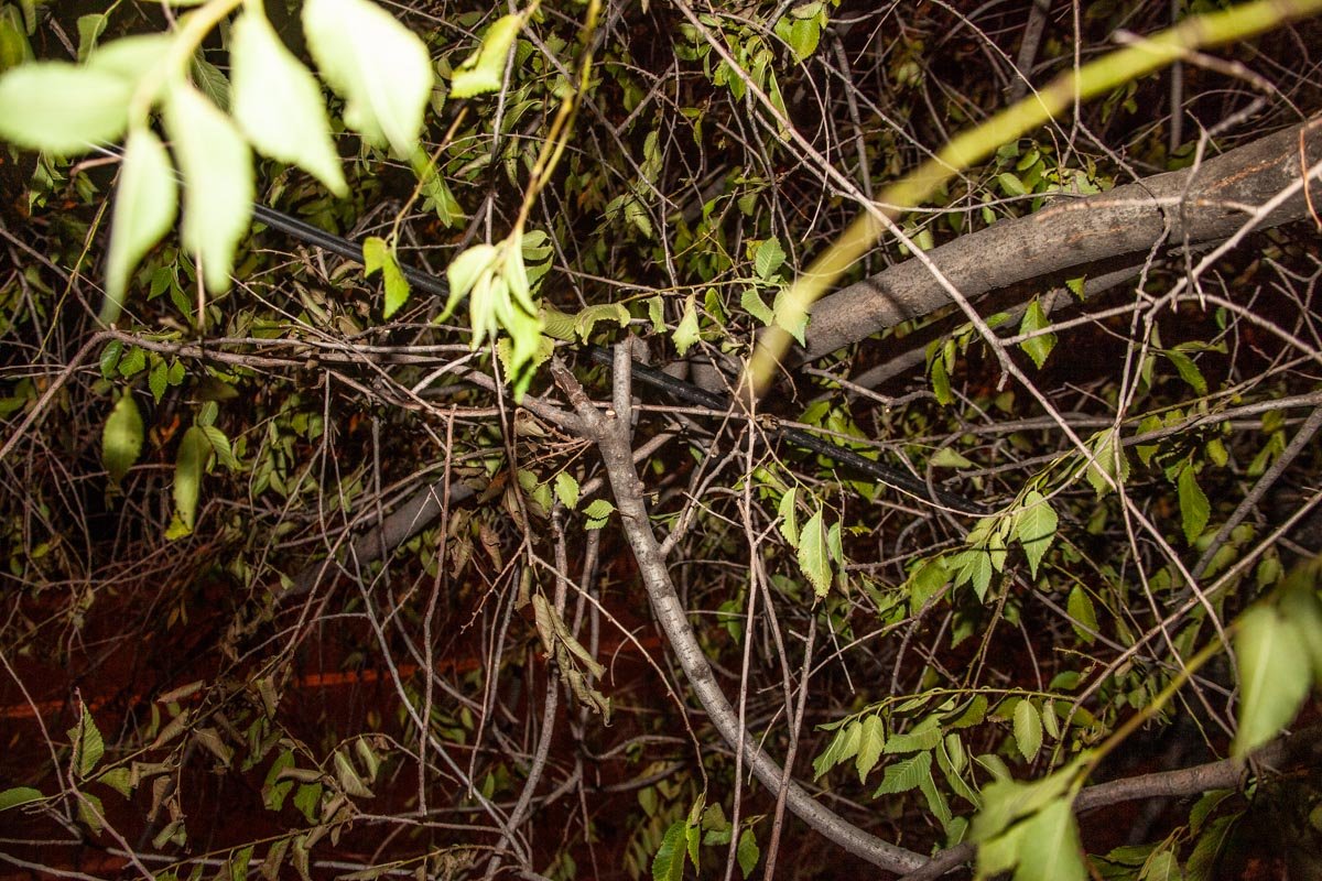 Происшествие обошлось без пострадавших Происшествие обошлось без пострадавших