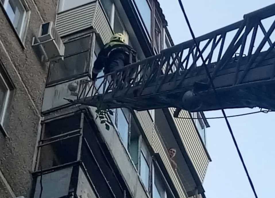 Птичка застряла в решетке на 7 этаже