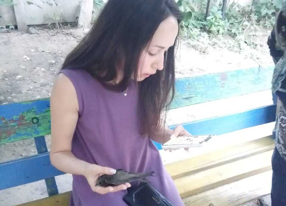 Птенца передали волонтерам 