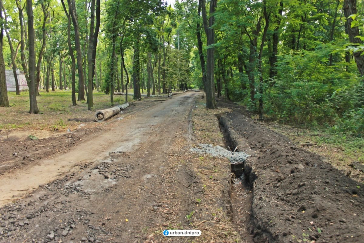 В парке остался нетронутый лес и необычный рельеф 