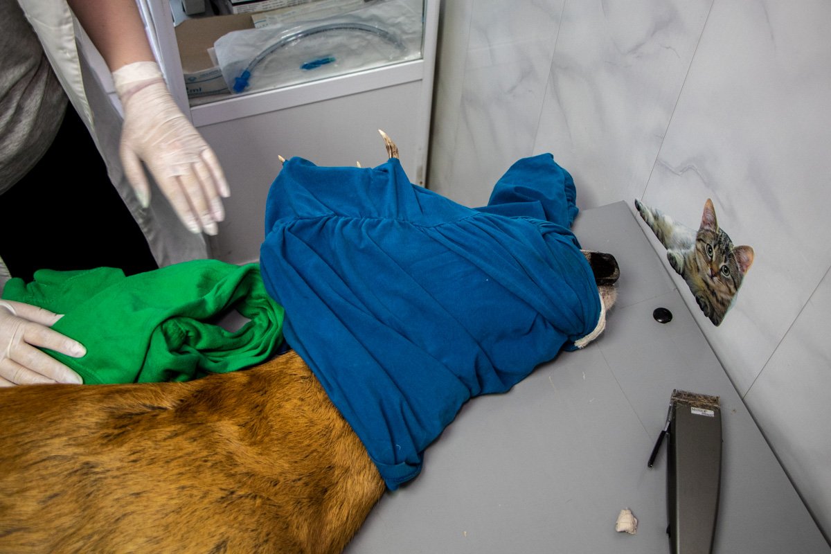 Изначально, прогнозы врачей были оптимистичными Изначально, прогнозы врачей были оптимистичными