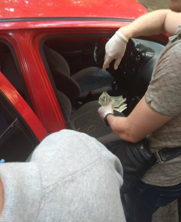 Начальника Госгеокадастра Новомосковского района и ее заместителя задержали на взятке: полиция ищет пострадавших 4