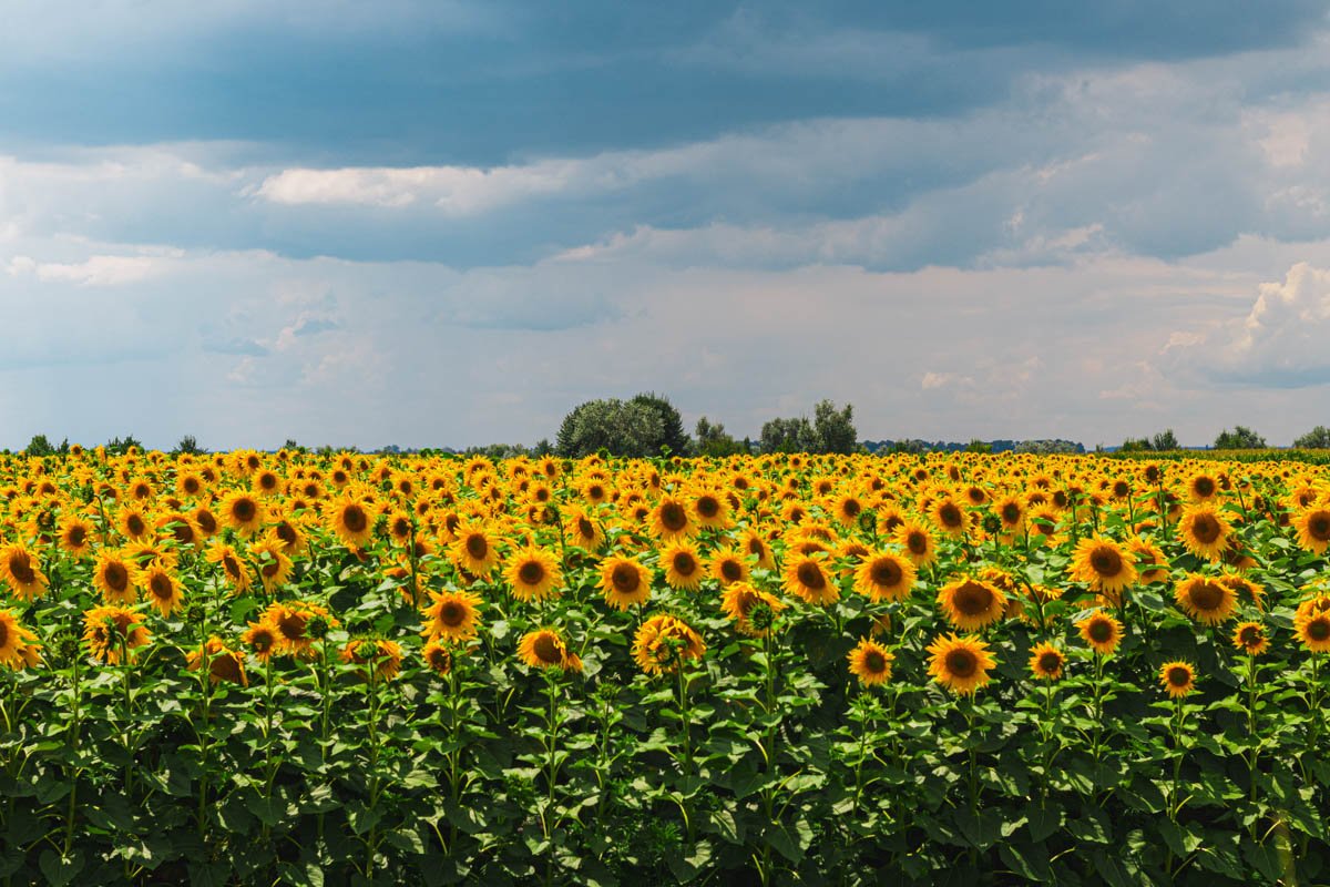 Ведь жизнь - она потому и прекрасна, Ведь жизнь - она потому и прекрасна,