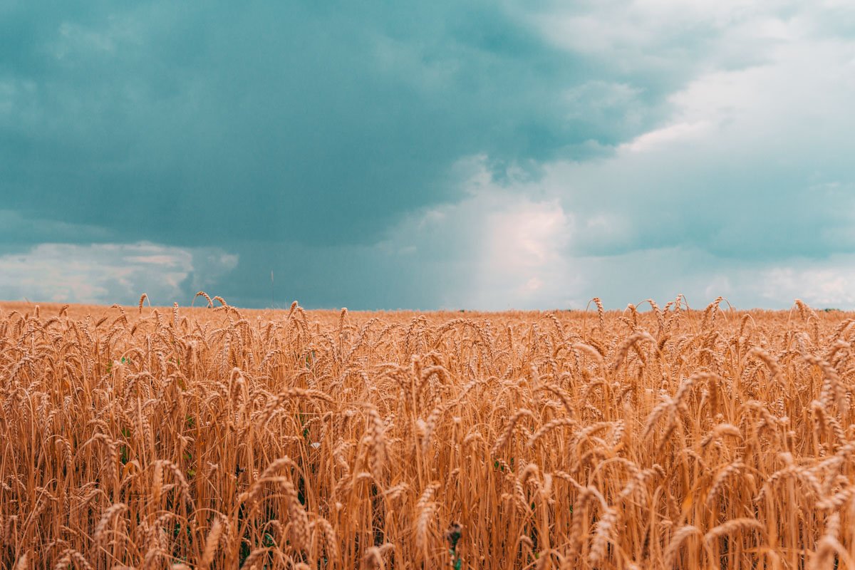 Что можно успеть на счастливый трамвай. Что можно успеть на счастливый трамвай.