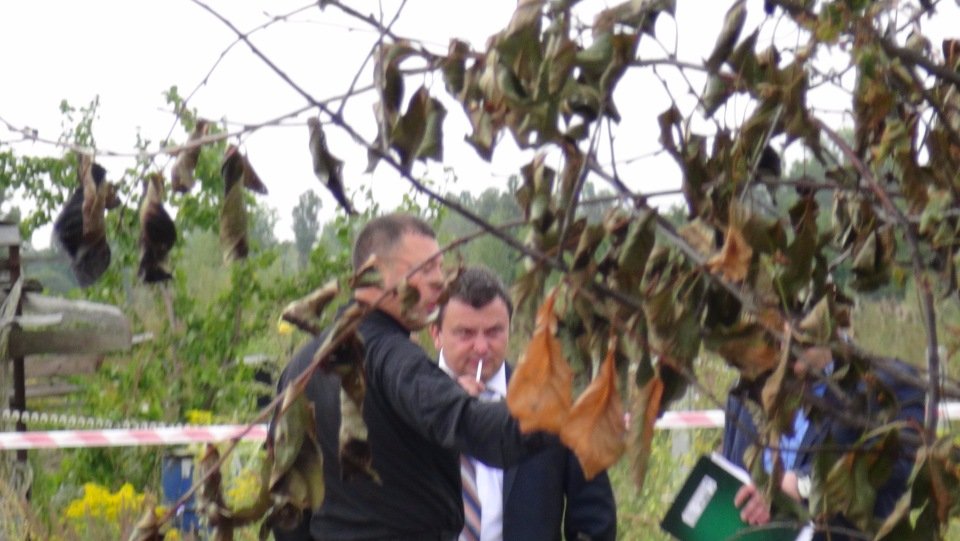 1474380098-1831-caparol-ubiystvo