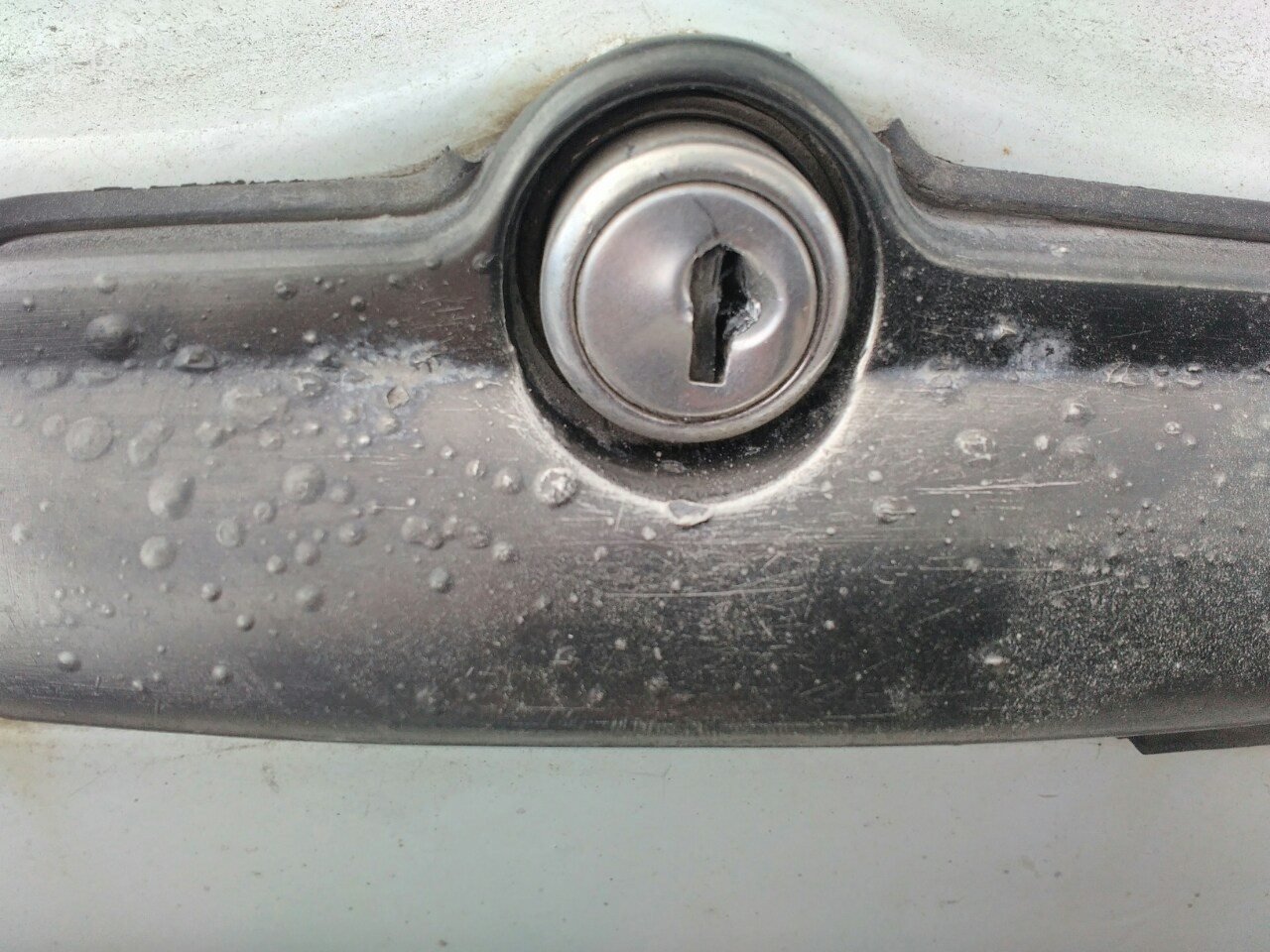 14439020_10210595638352013_390951625_o