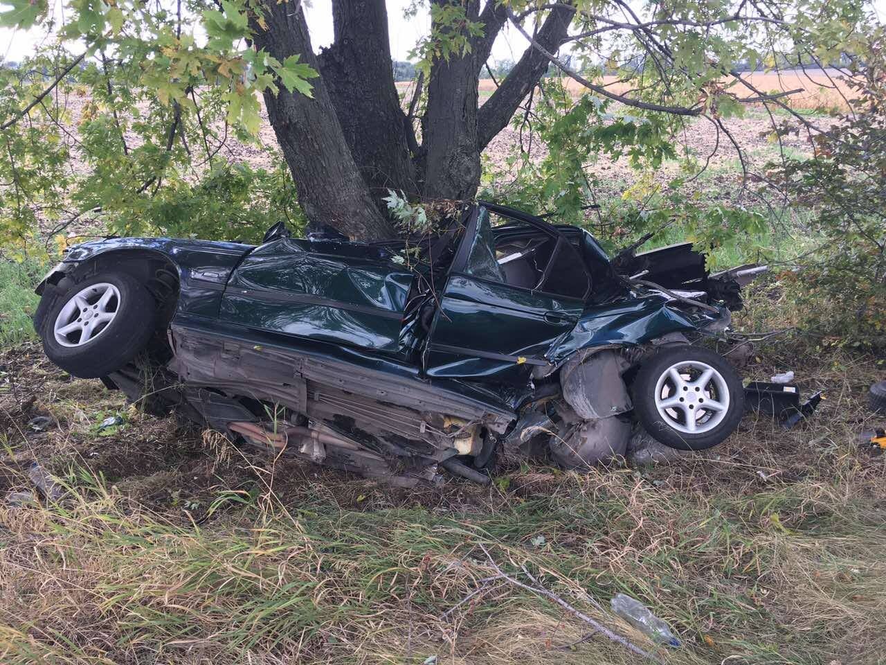 14424799_739398502865984_8772598512688603284_o