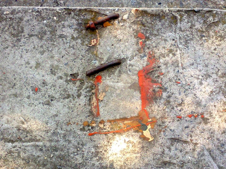 14495447_651882748313196_7110491678434588243_n