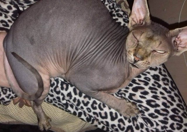 atos-e1475490517412-640x451