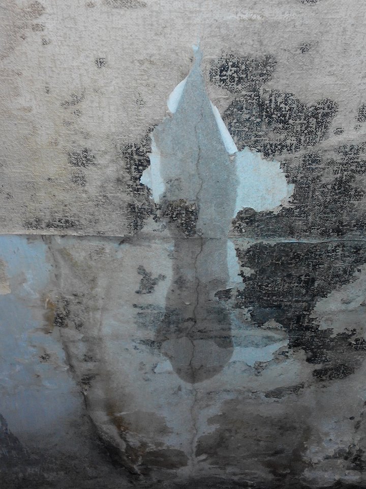 14642235_1137200083001933_1583708920746341141_n