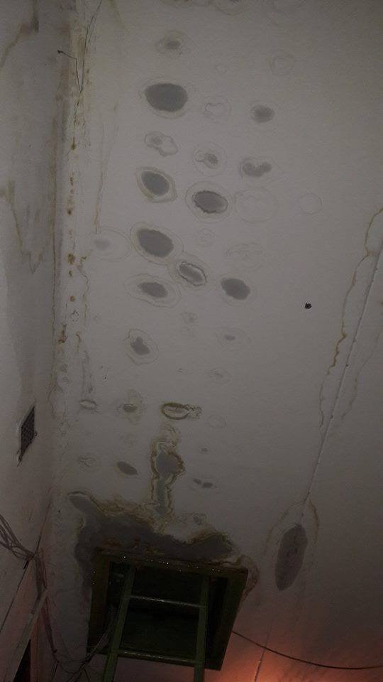 14516431_1777296632557774_8710145015605218845_n