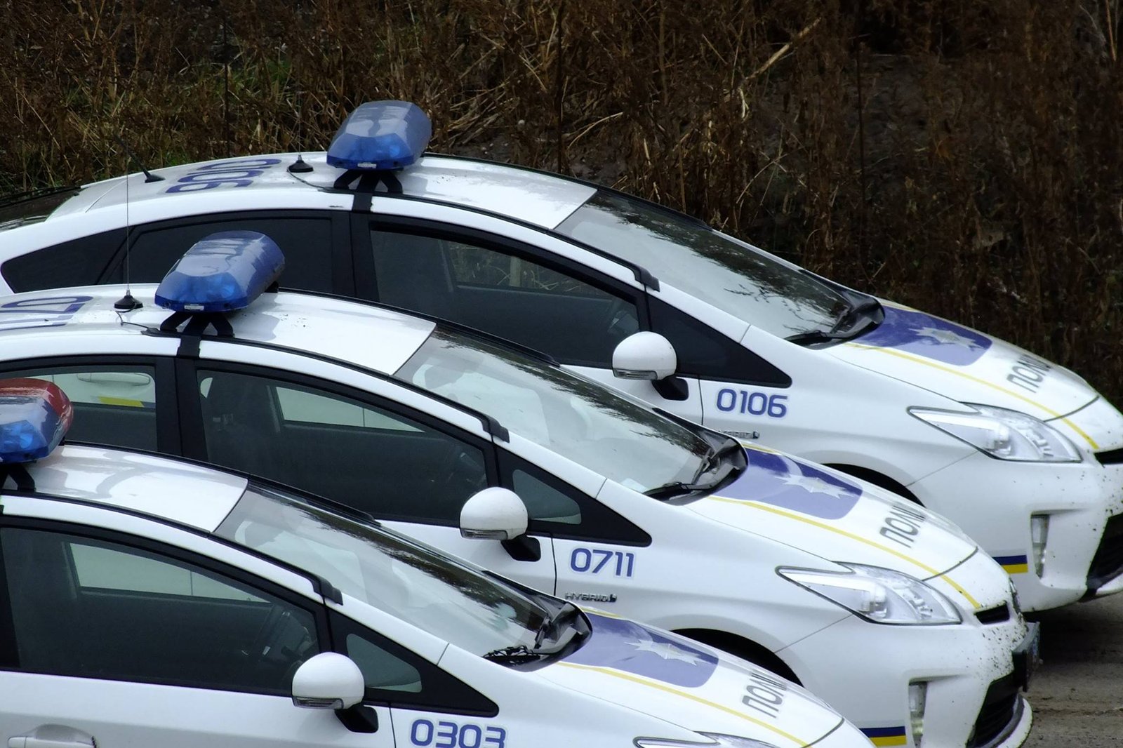 14615627_1626925820933360_6416472794488004996_o