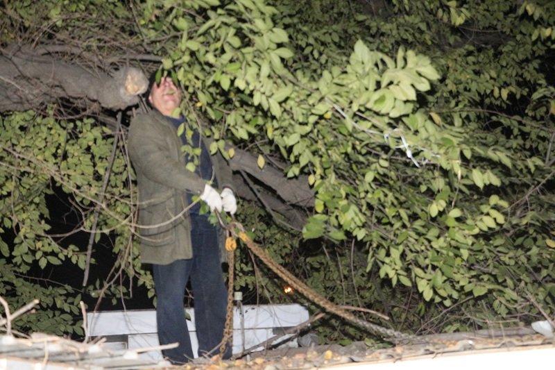 Снос ларьков на Старомостовой (Островского) площадь 2