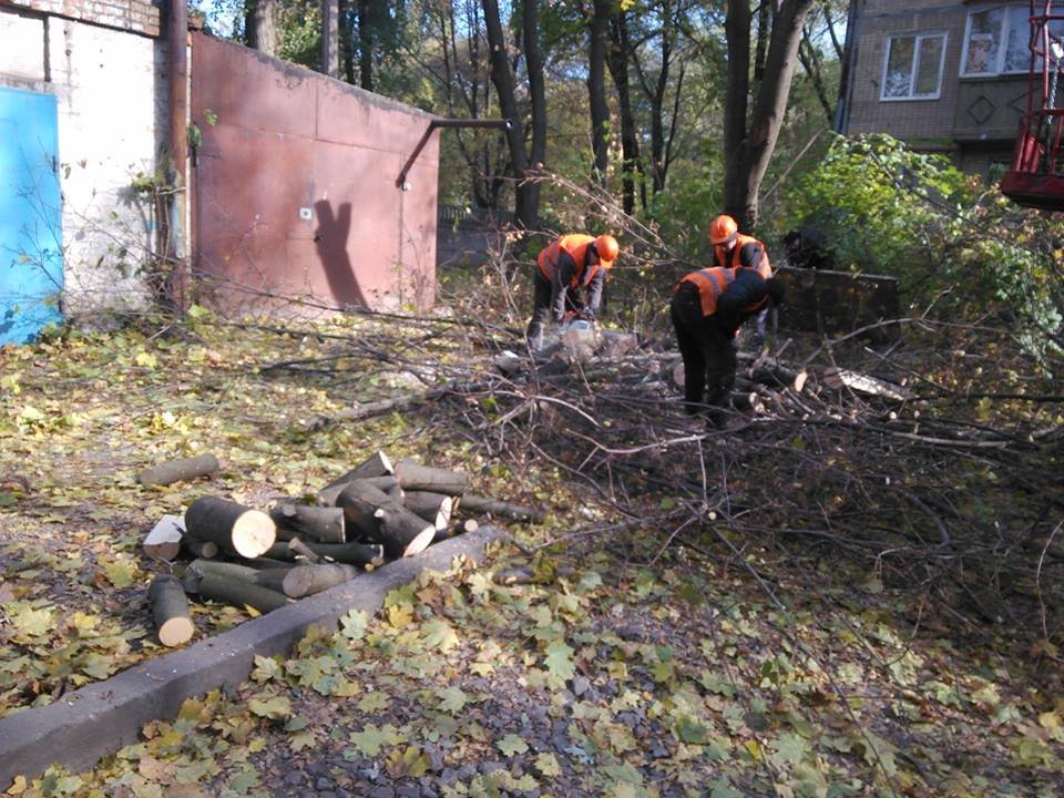 14570506_572853719573506_4689996154381566911_n