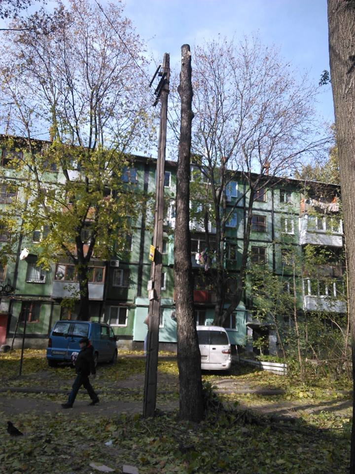 14671251_572854309573447_3901386145936746352_n