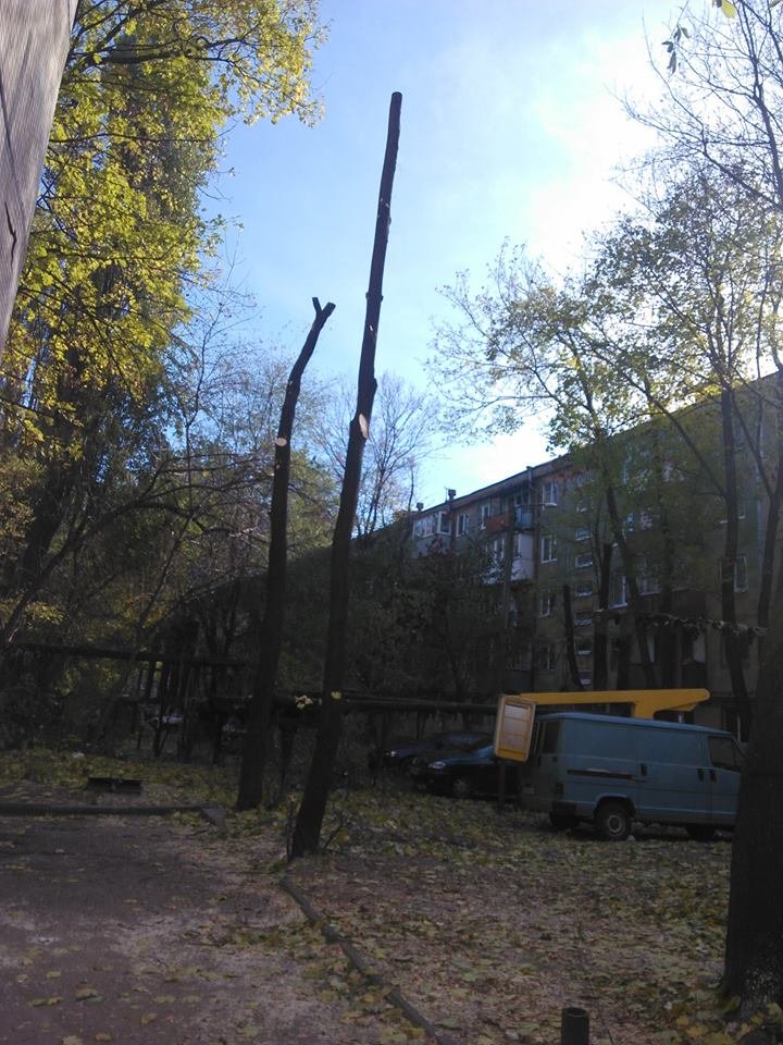 14695445_572853626240182_7059064631761626859_n