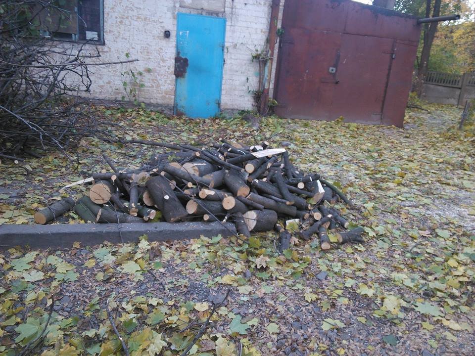 14705775_572856279573250_1709481086393095673_n