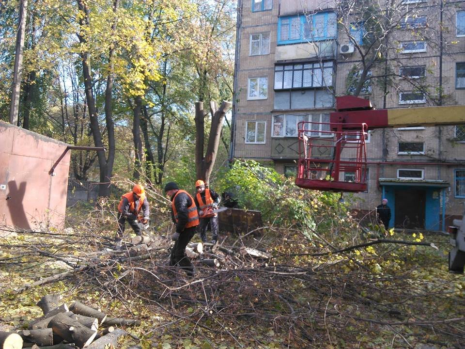 14708211_572856892906522_4029593897773436635_n