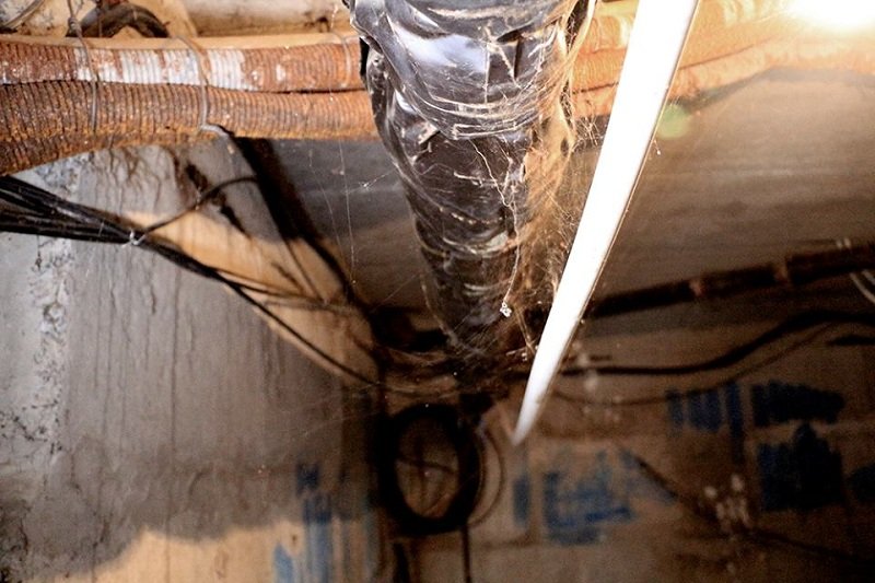 14825809_1328723137139543_343723553_n