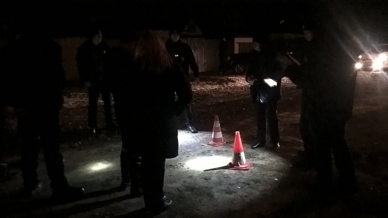 Богомаза, гильзы, следствие