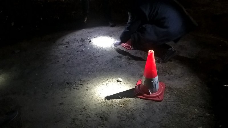 Богомаза, гильзы, следствие 2