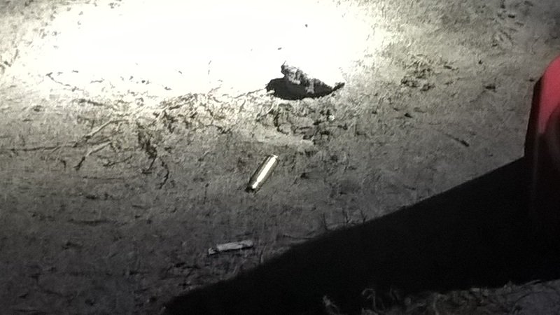 Богомаза, гильзы, следствие 3