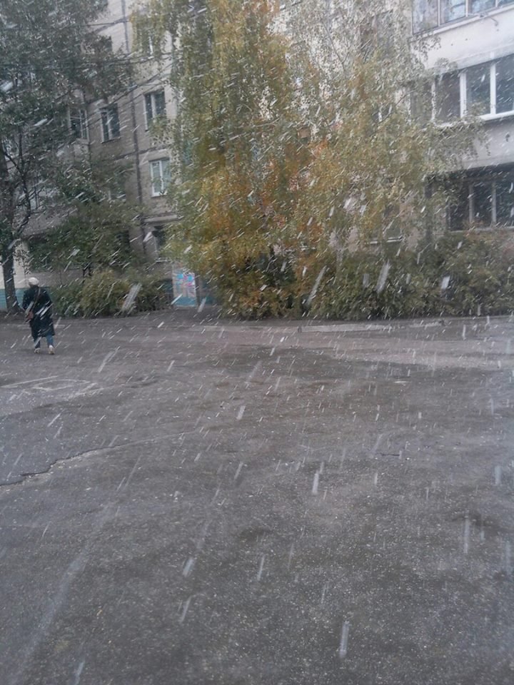 14877892_10211001349734544_1517620423_n