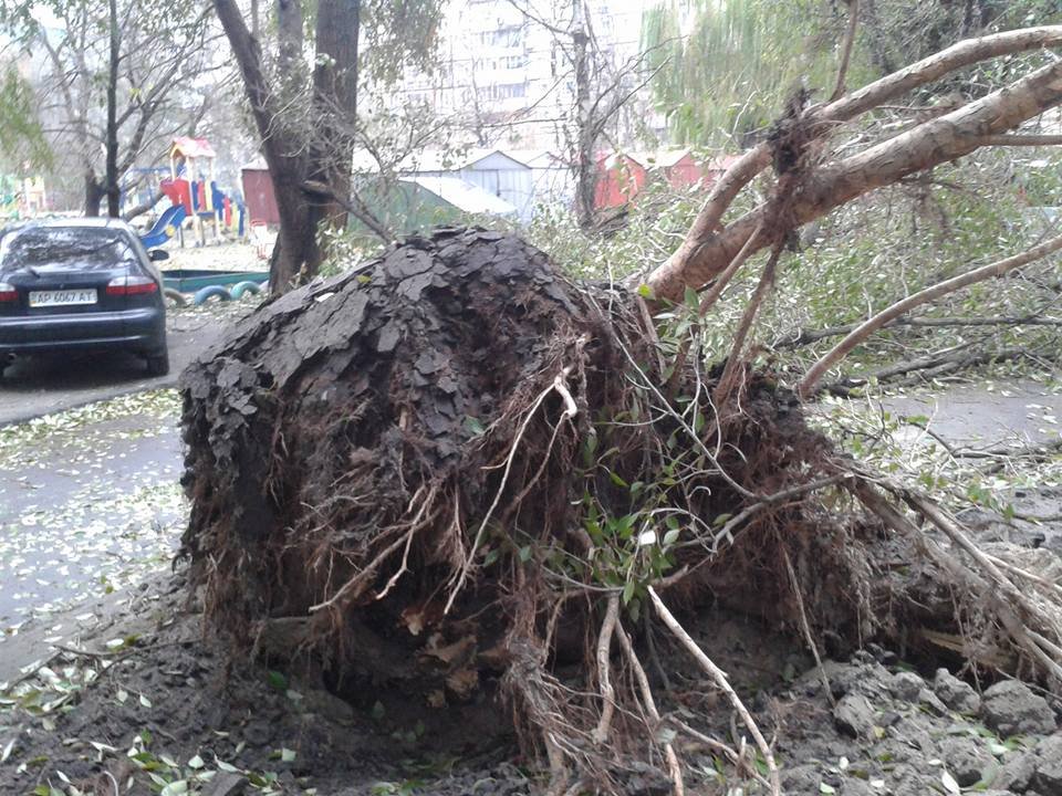 14956380_970499246428994_2285682877073264930_n