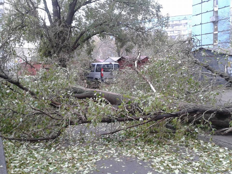 14980766_970499263095659_91694908352132774_n