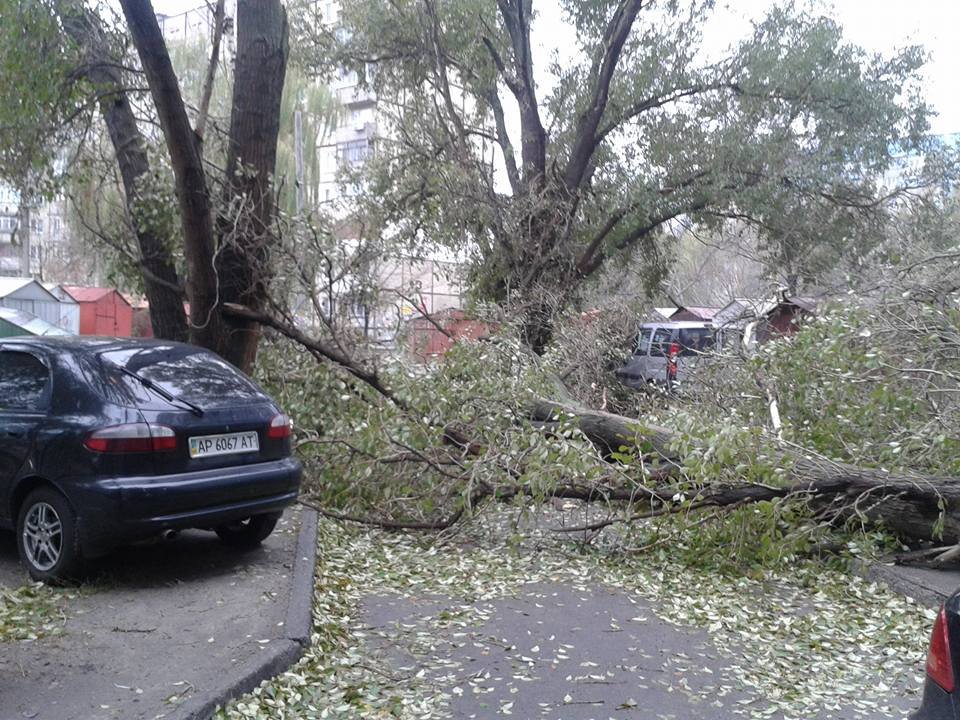 14980822_970499279762324_1779442715210013627_n