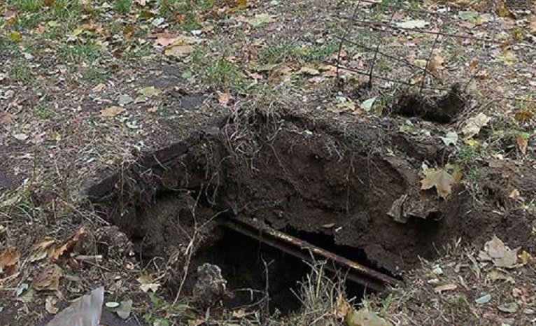 14947716_1137850186250845_7017997864607270848_n