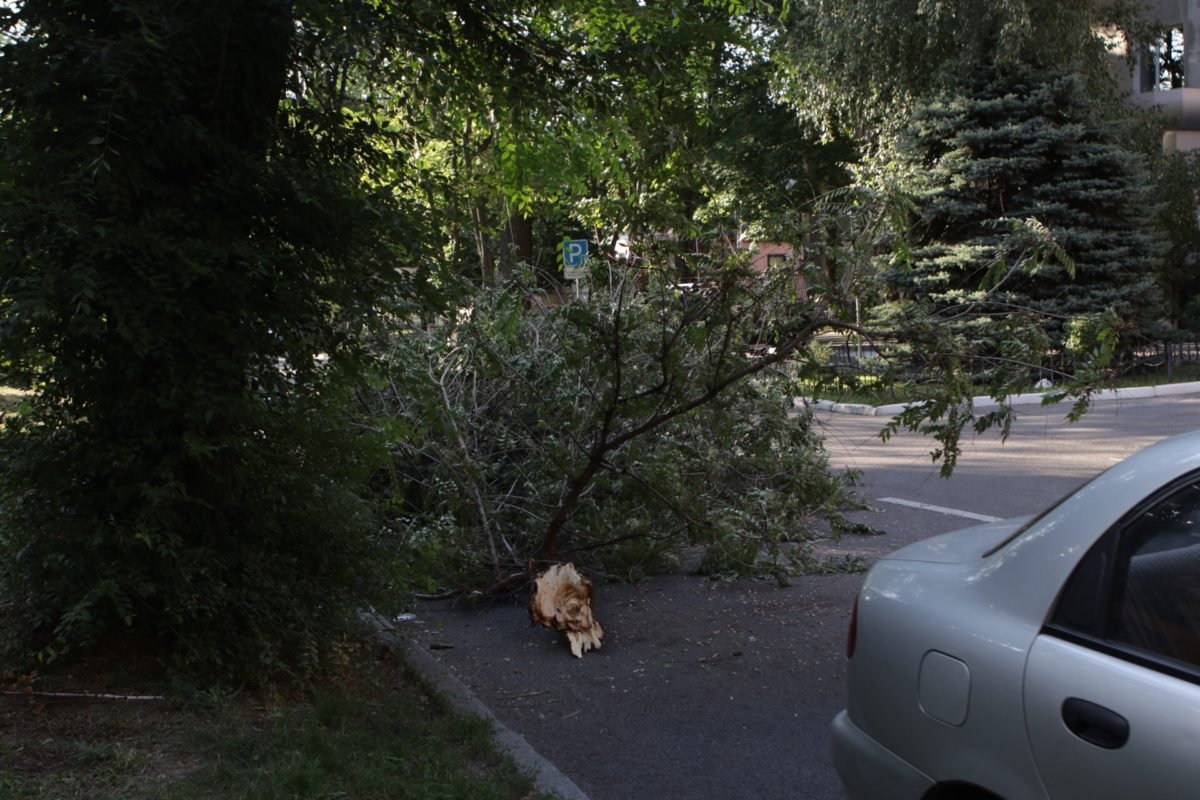 Ветка полностью перекрыла одну полосу