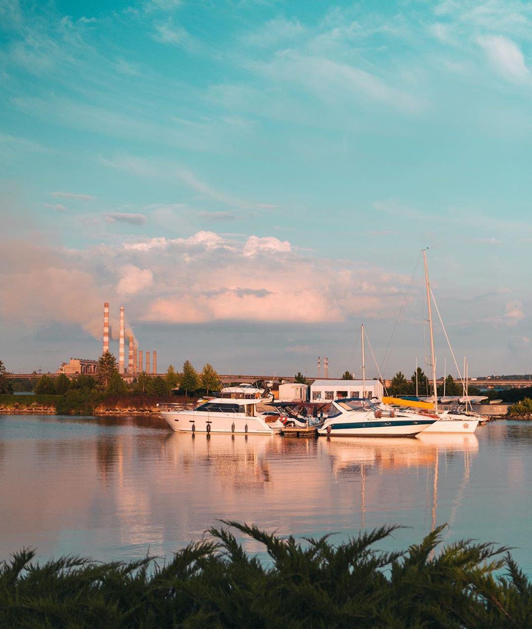 Нежность. Фото: alonjasha Нежность. Фото: alonjasha