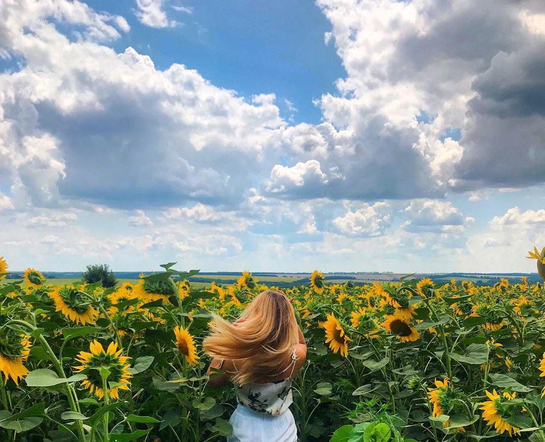 Жовто-блакитний. Фото: victoria__malikova Жовто-блакитний. Фото: victoria__malikova