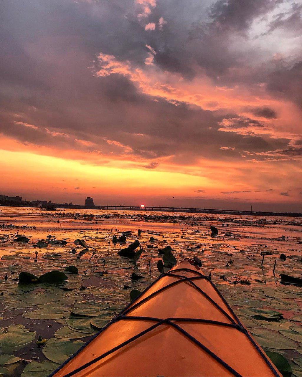 Счастье. Фото: v_sorochan Счастье. Фото: v_sorochan