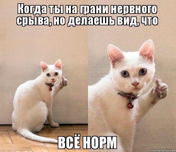 Не держите в себе Не держите в себе