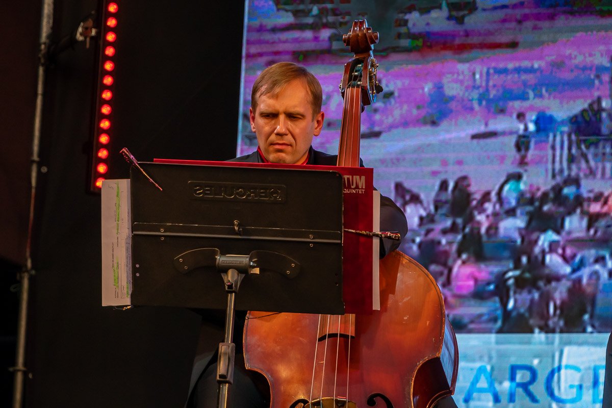 Владимир Гречух - контрабас