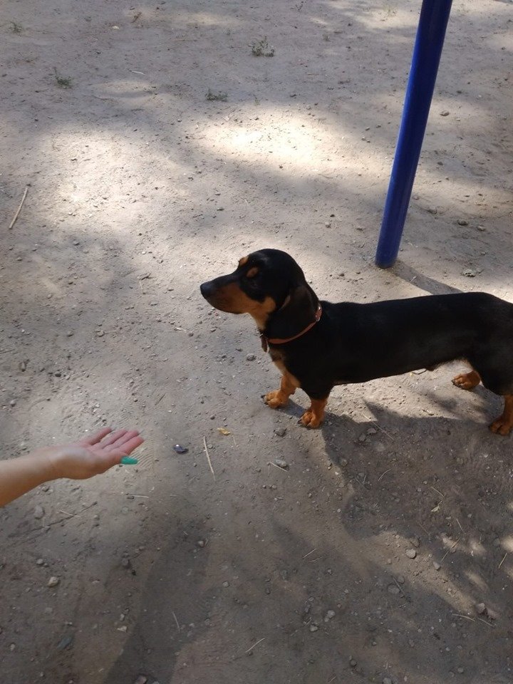 Он ждет вас