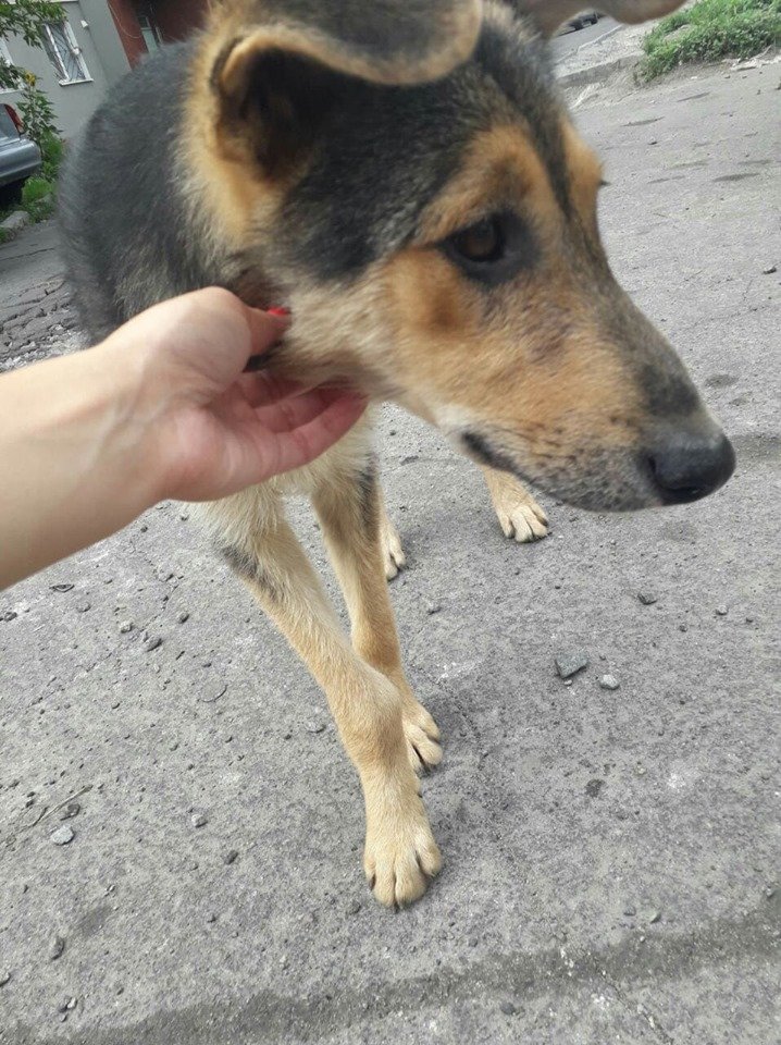 Помогите найтись