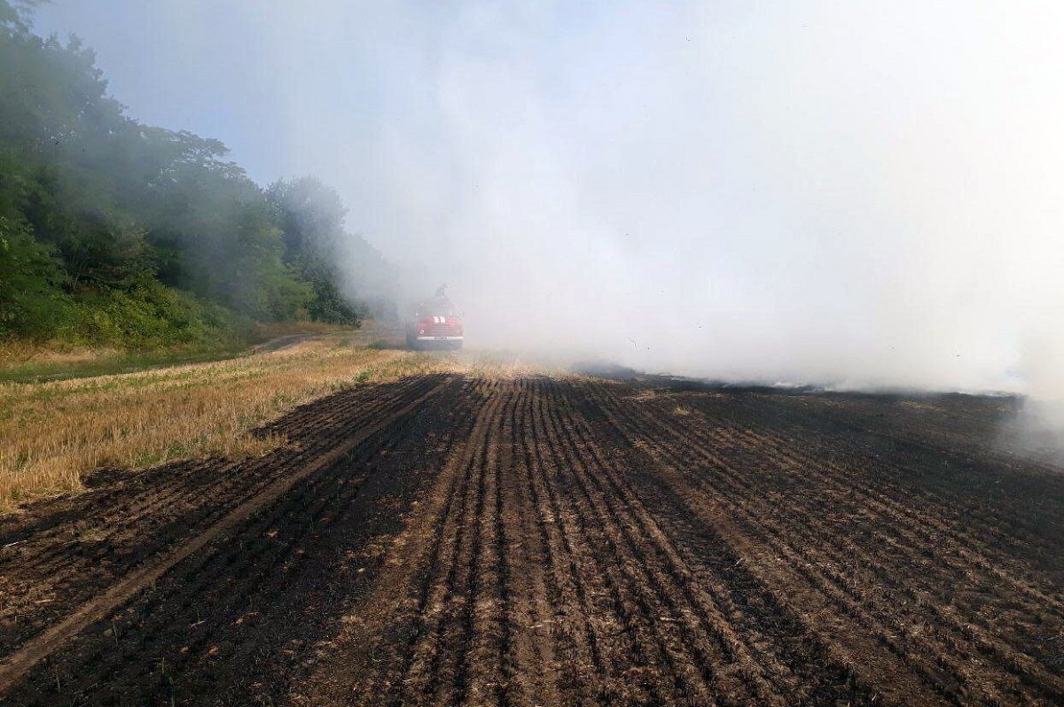 Подгородное окутал едкий дым 