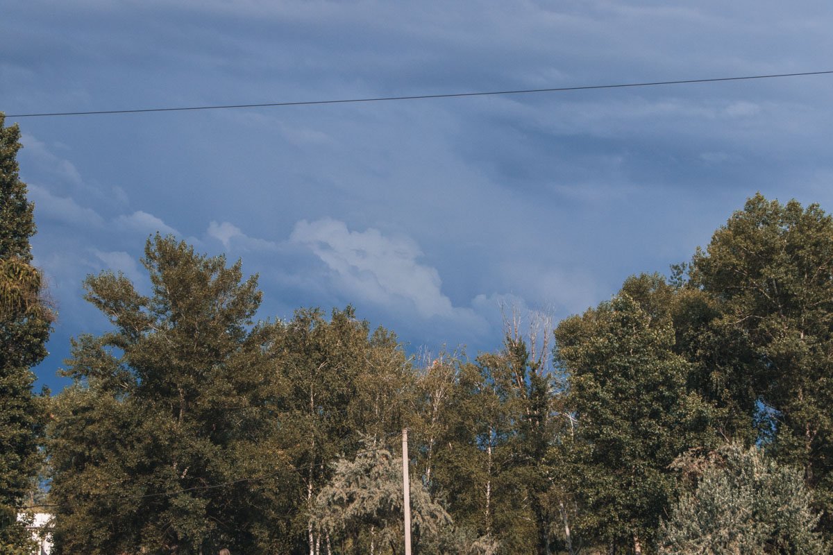 Туманы до десяти утра. В измороси трамвай, и город, североглаз и твёрд, стоит, травинку жуя