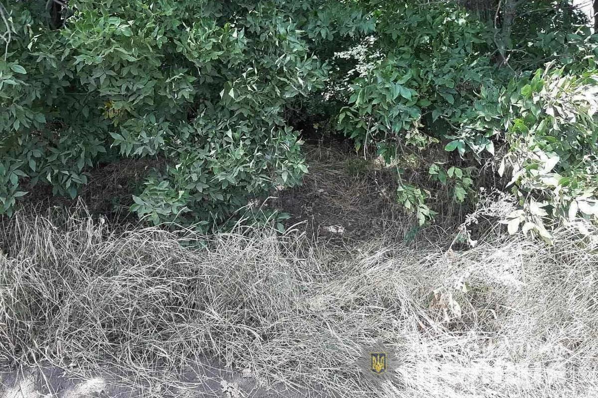Тело девушки нашли в лесопосадке за селом Спасское Тело девушки нашли в лесопосадке за селом Спасское