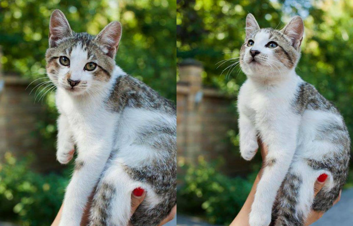 Ох уж этот взгляд *_* Ох уж этот взгляд *_*