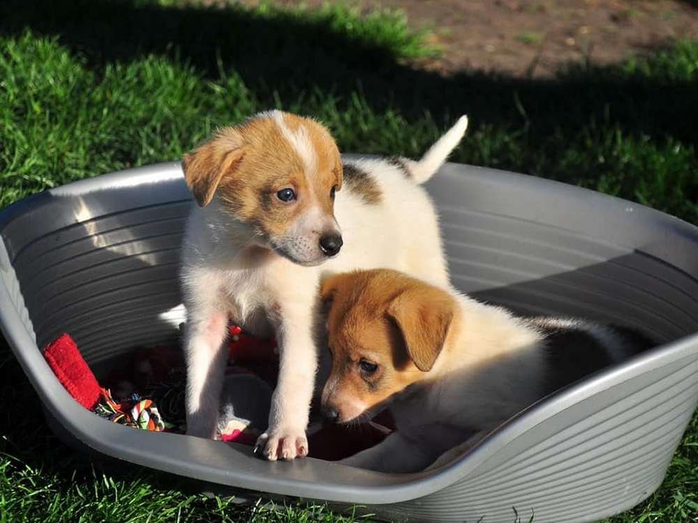 Бесконечный заряд бодрости каждое утро вам будет обеспечен Бесконечный заряд бодрости каждое утро вам будет обеспечен