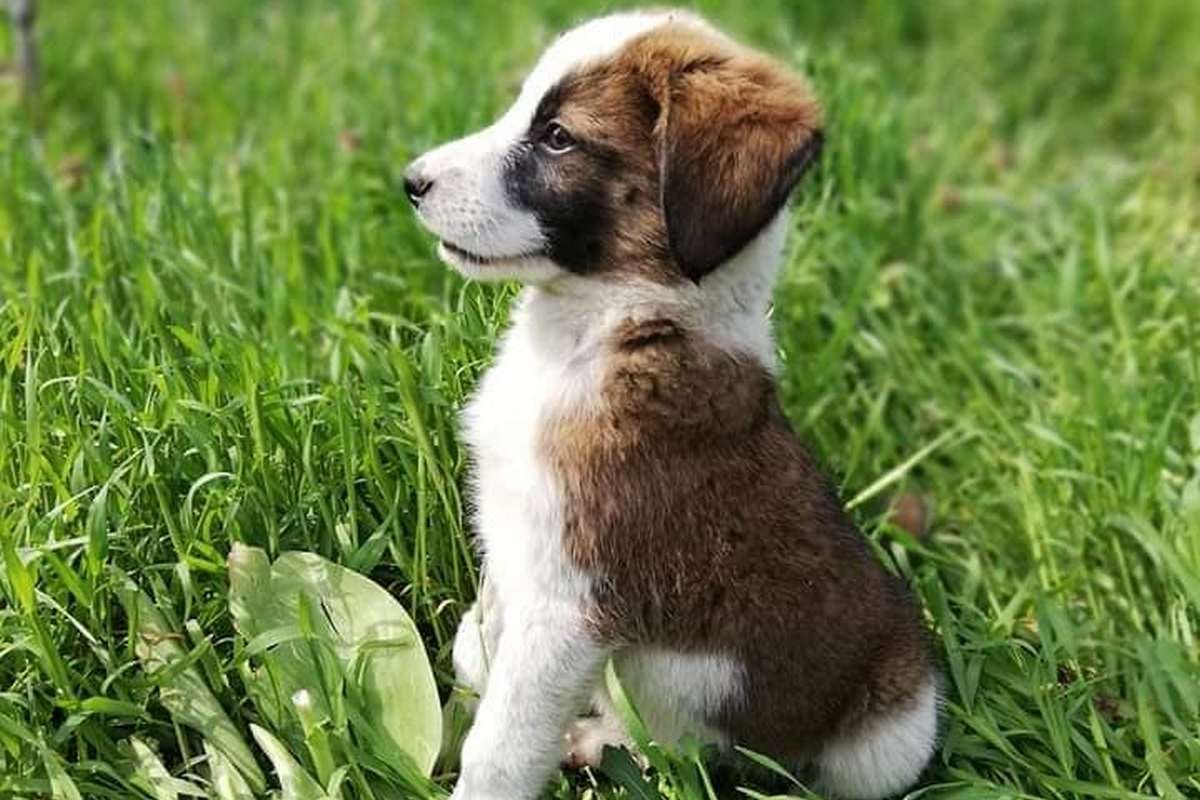 Это вообще законно быть такой милой? Это вообще законно быть такой милой?