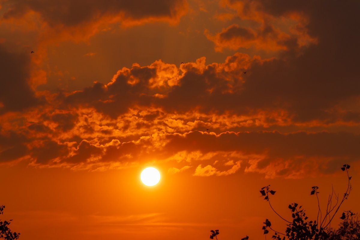 Природа - самый гениальный художник Природа - самый гениальный художник