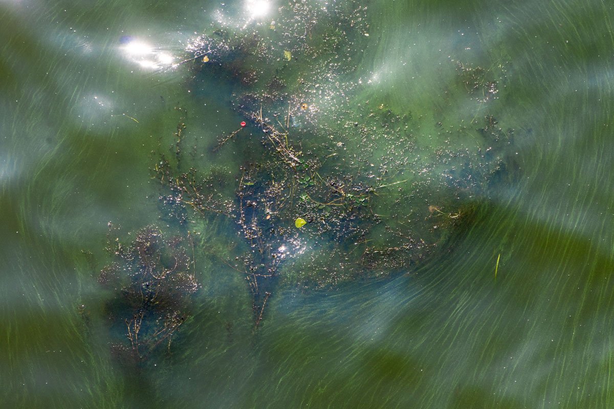 Но... Я же... Не успел искупаться Но... Я же... Не успел искупаться